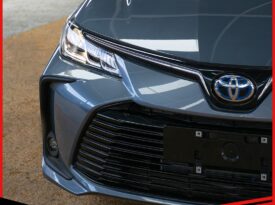 COROLLA 2023