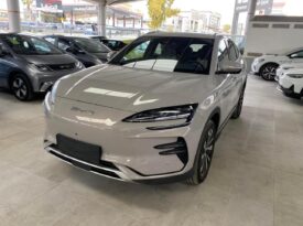 BYD SONG PLUS CHAMPION