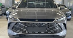 BYD QIN PLUS 2025 GRAY