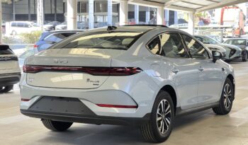 
										BYD QIN PLUS 2025 كامل									