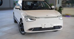 dongfeng nammi 2023