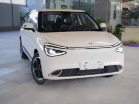 dongfeng nammi 2023