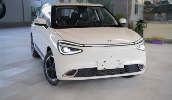 dongfeng nammi 2023