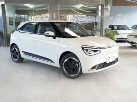 dongfeng nammi 2023