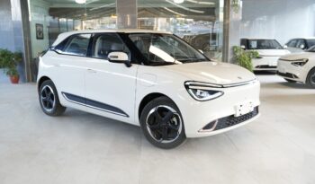 dongfeng nammi 2023