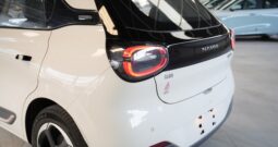 dongfeng nammi 2023