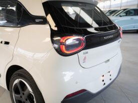 dongfeng nammi 2023