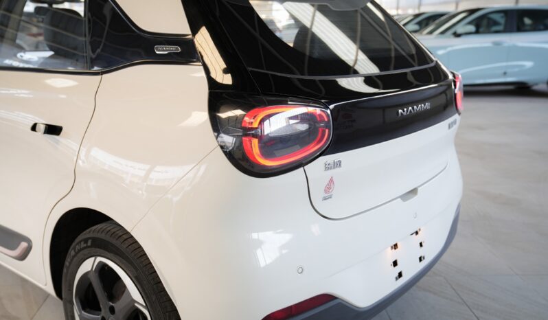 
								dongfeng nammi 2023 كامل									